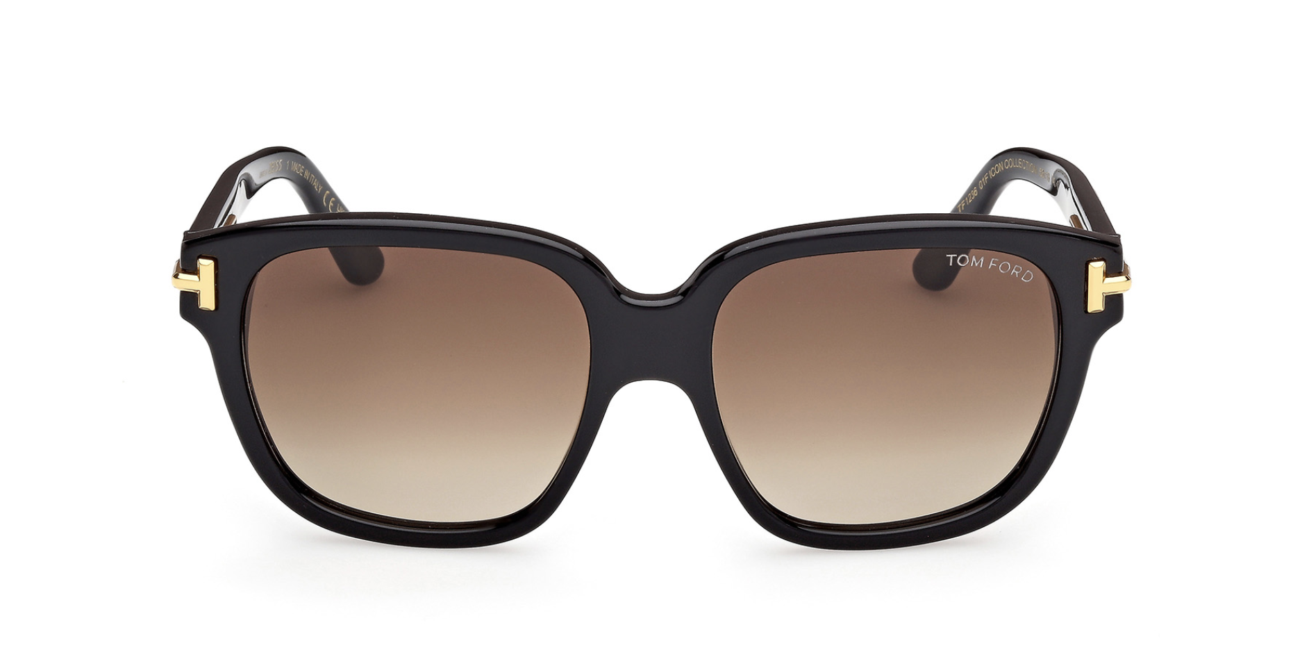 Óculos de sol Tom Ford Icon FT1236