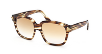 Óculos de sol Tom Ford Icon FT1236