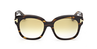 Óculos de sol Tom Ford Icon FT1235