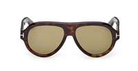 Óculos de sol Tom Ford Icon FT1225