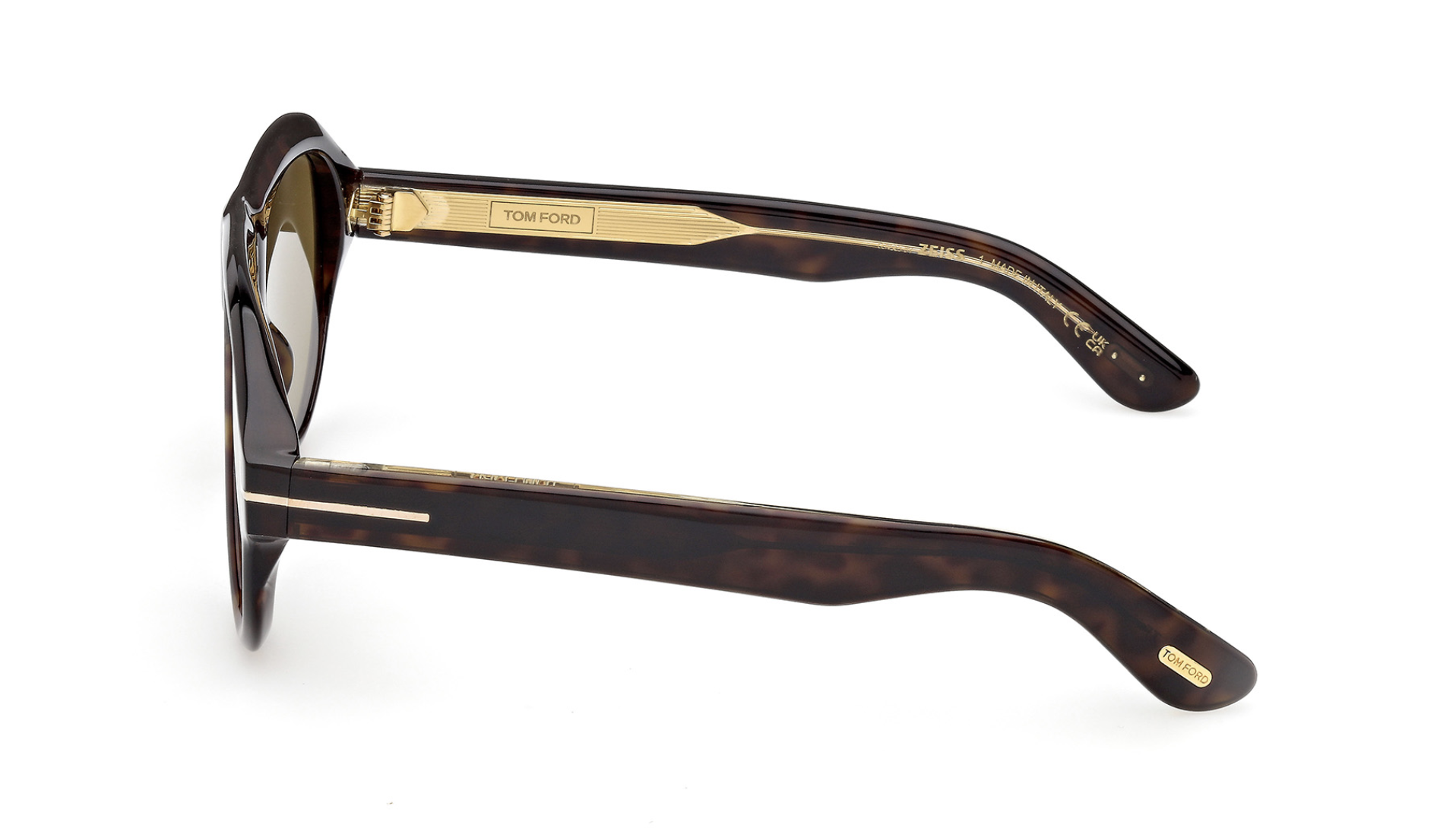 Óculos de sol Tom Ford Icon FT1225