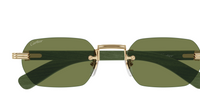 Óculos de Sol Cartier Chifre e Madeira Première CT0362S
