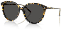 Óculos de Sol Oliver Peoples Soleau OV5605SU