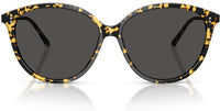 Óculos de Sol Oliver Peoples Soleau OV5605SU