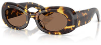Lunettes de Soleil Oliver Peoples 1992c OV5606SU