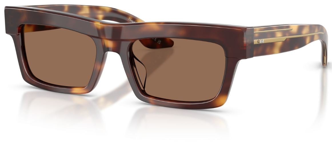 Óculos de Sol Oliver Peoples 1985c OV5607SU