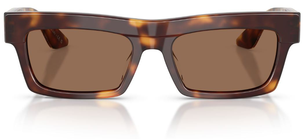 Óculos de Sol Oliver Peoples 1985c OV5607SU
