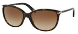 Gafas de sol Ralph RA5160 510/13 Dark Tortoise