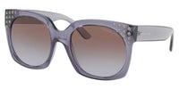Óculos de sol Michael Kors Destin MK2067