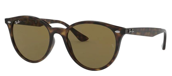 Ray-Ban RB4305 Sunglasses