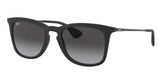 Gafas de sol Ray-Ban RB4221
