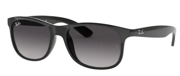 Ray-Ban RB4202-zonnebril