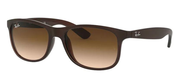 Ray-Ban RB4202-zonnebril