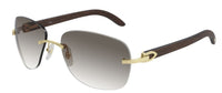 Óculos de sol Cartier Décor C CT0014RS