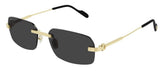 Gafas de Sol Cartier Première CT0271S