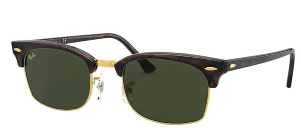 Ray-Ban RB3916 Sunglasses
