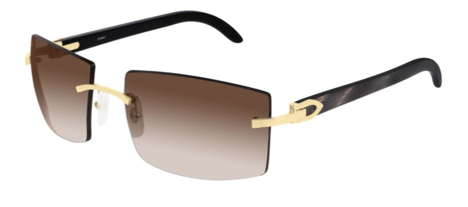 Óculos de Sol Cartier Corne Décor C CT0021RS