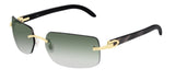 Lunettes de Soleil Cartier Corne Décor C CT0022RS