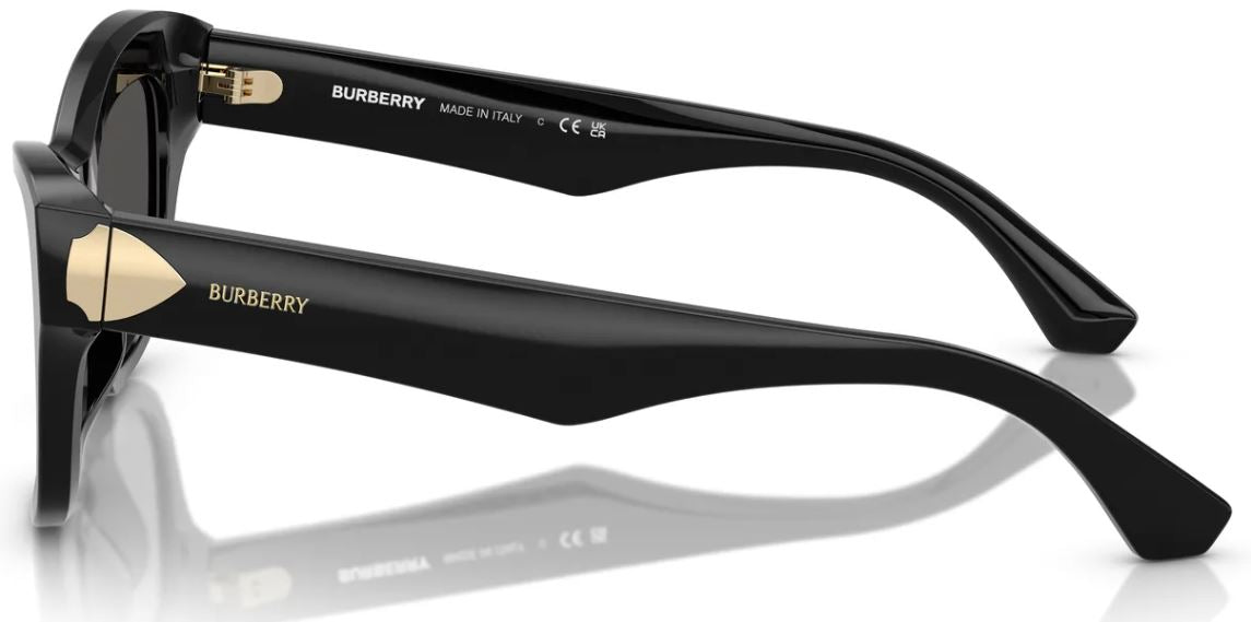 Lunettes de Soleil Burberry BE4440U