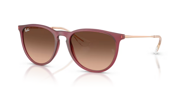 Lunettes de soleil Ray-Ban Erika RB4171