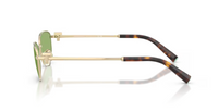 Lunettes de Soleil Tiffany & Co TF3115