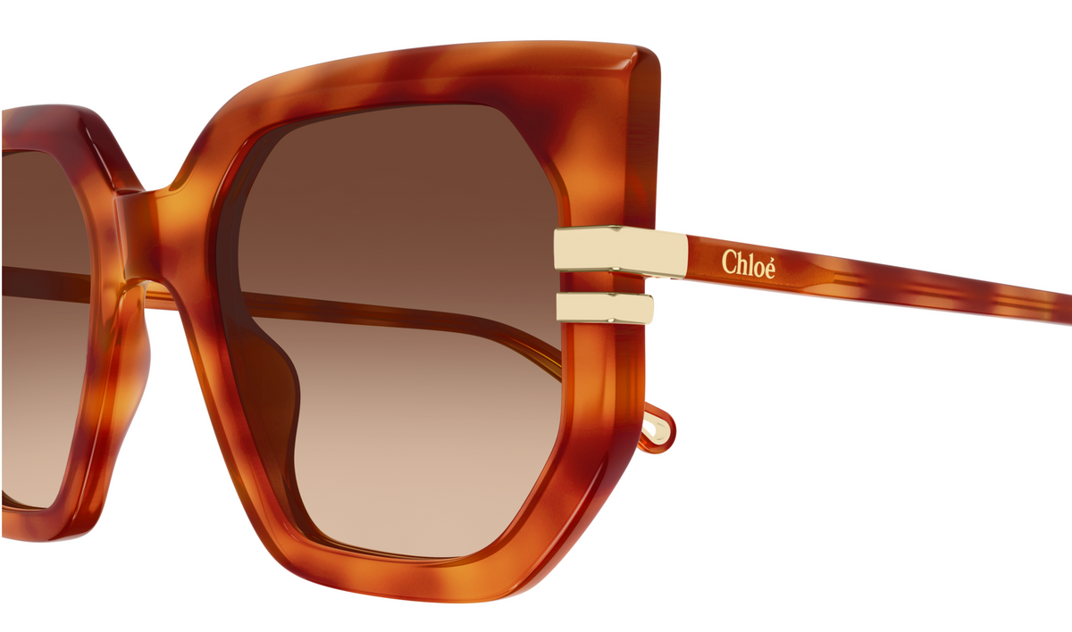 Lunettes de Soleil Chloé CH0240S