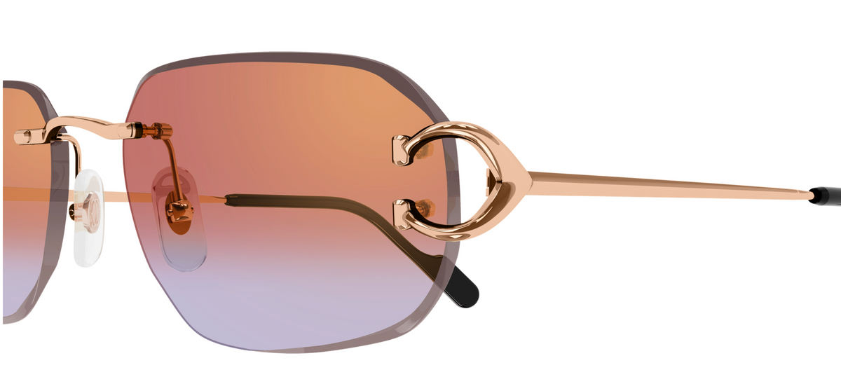 Lunettes de Soleil Cartier Piccadilly CT0468S
