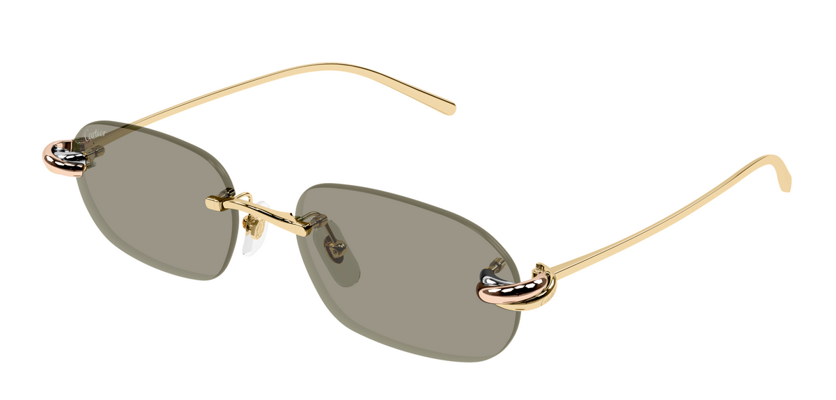 Lunettes de soleil Cartier Exception CT0686S