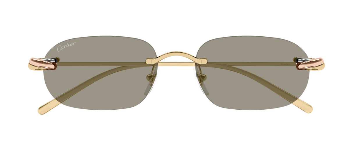 Lunettes de soleil Cartier Exception CT0686S