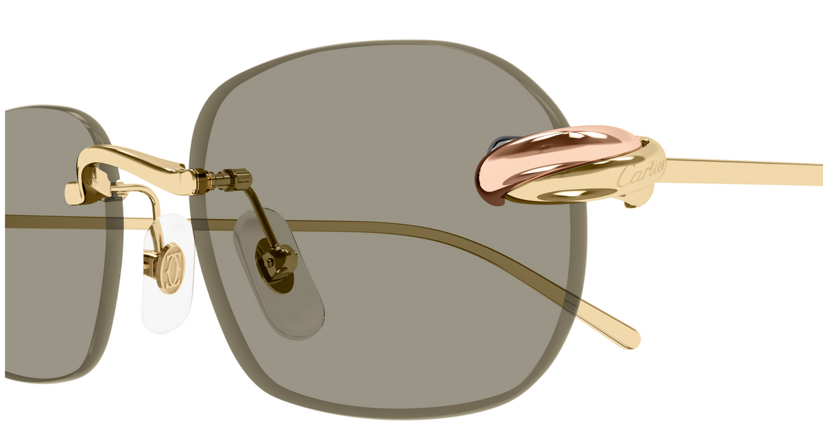 Lunettes de soleil Cartier Exception CT0686S