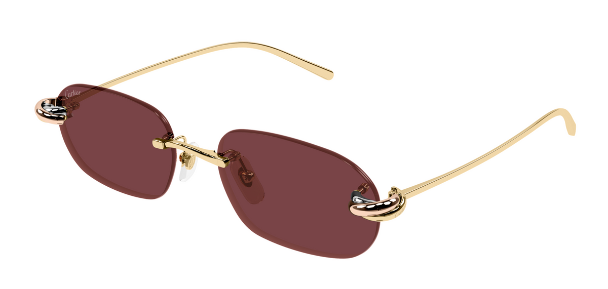 Lunettes de soleil Cartier Exception CT0686S