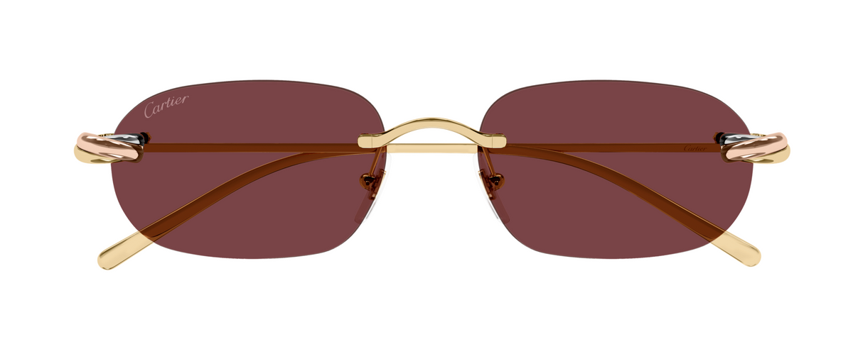 Lunettes de soleil Cartier Exception CT0686S