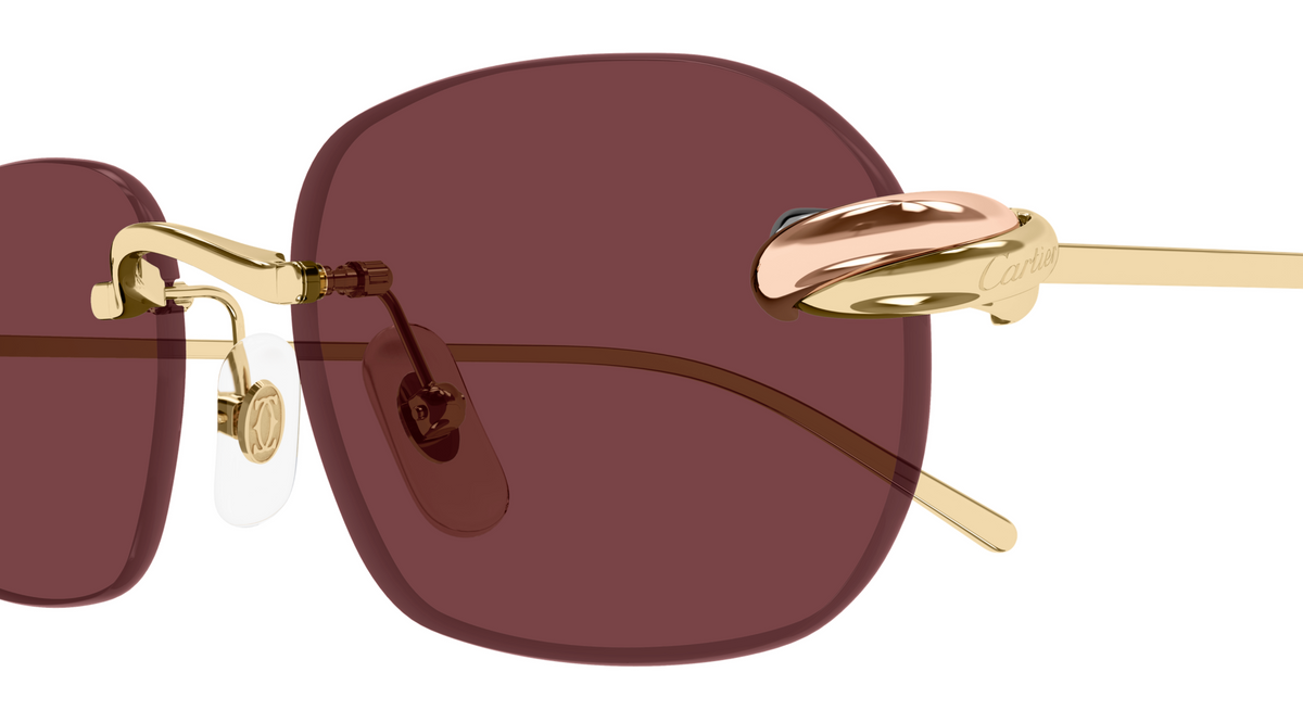 Lunettes de soleil Cartier Exception CT0686S