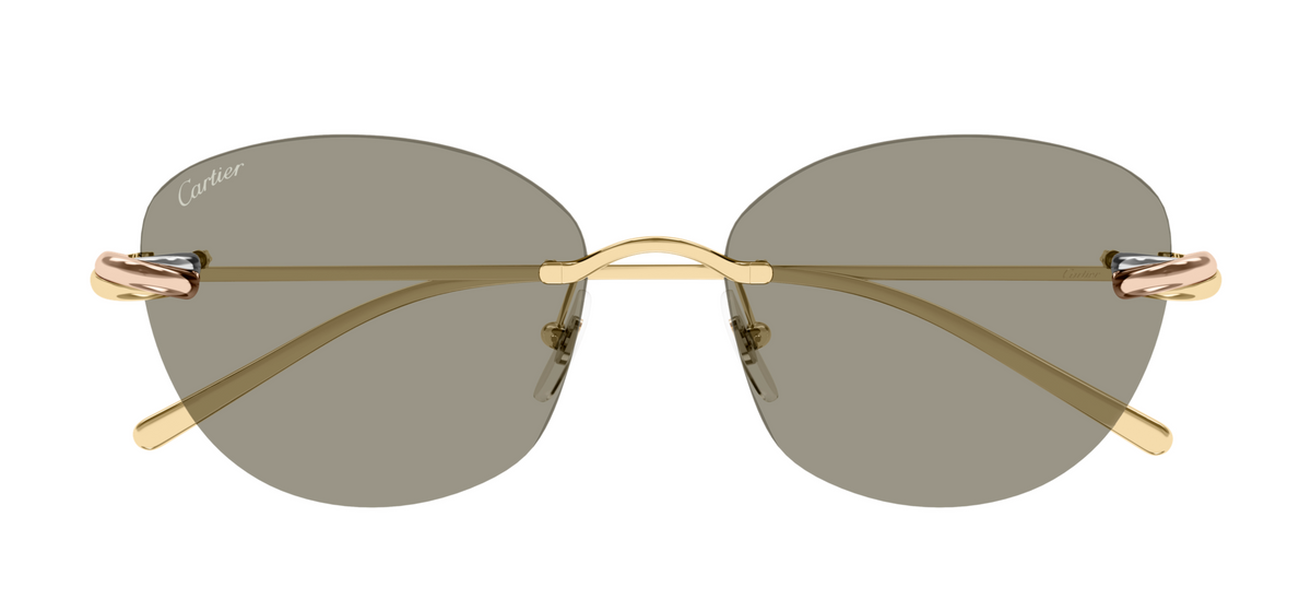 Lunettes de soleil Cartier Exception CT0685S