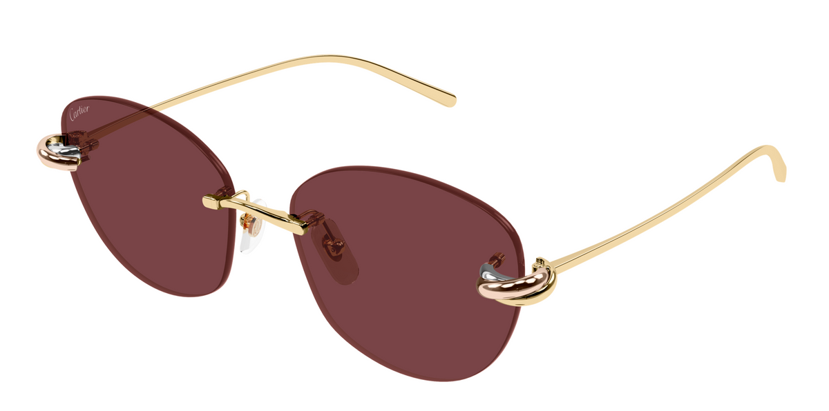Lunettes de soleil Cartier Exception CT0685S