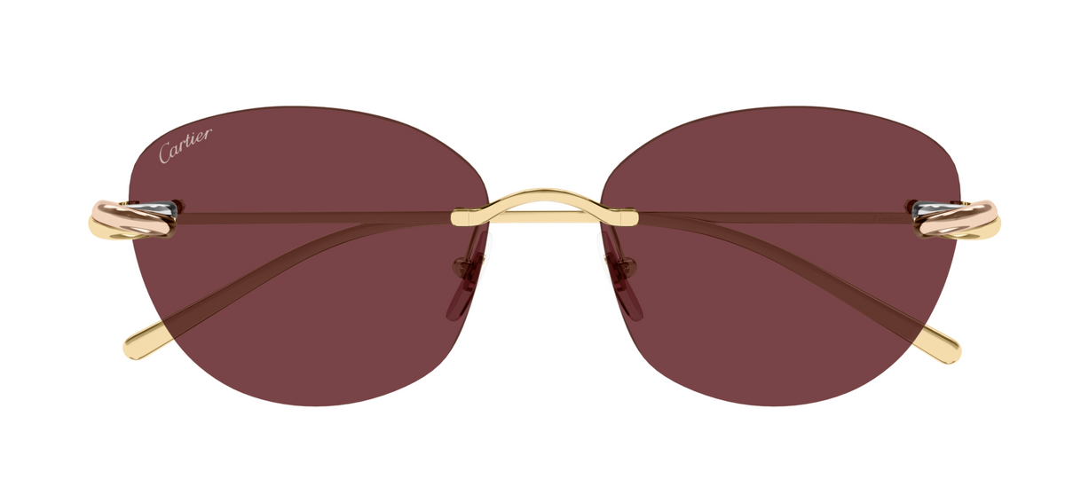 Lunettes de soleil Cartier Exception CT0685S