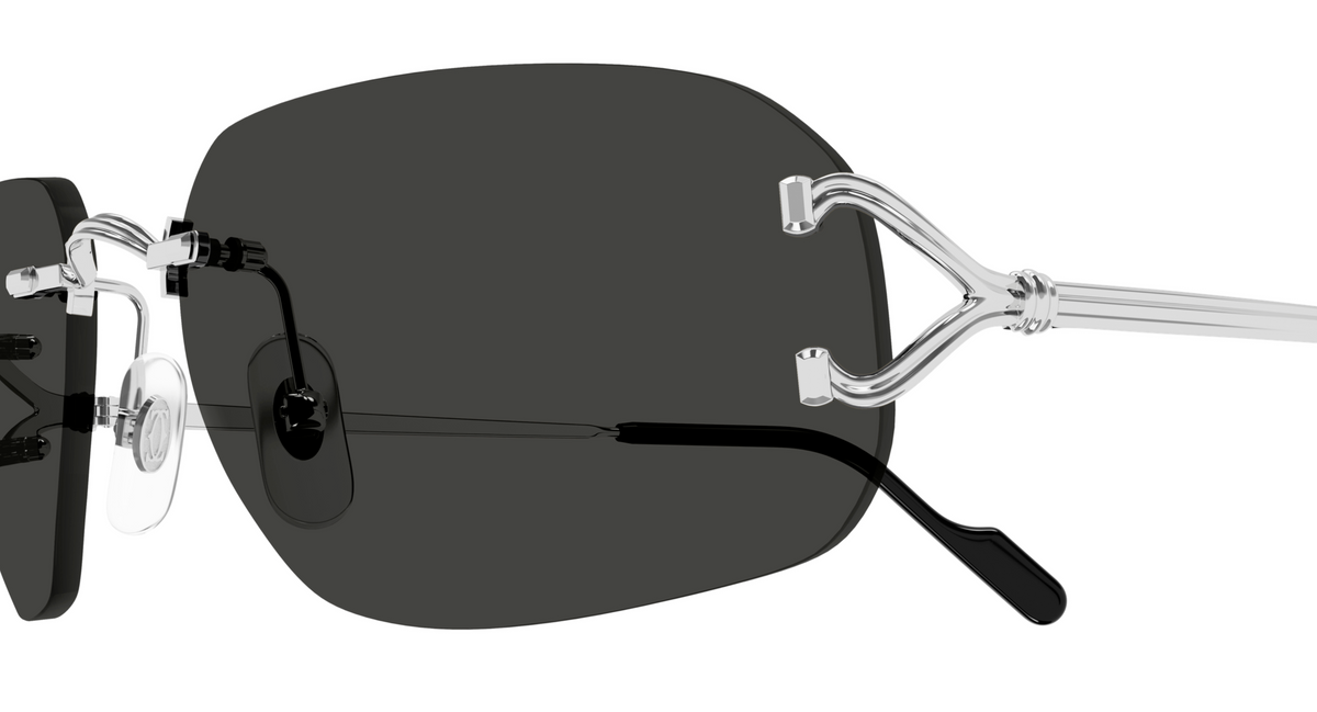 Lunettes de soleil Cartier Piccadilly CT0663S