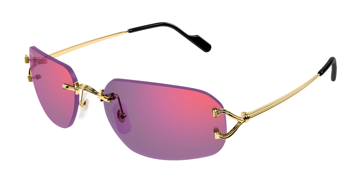 Lunettes de soleil Cartier Piccadilly CT0663S
