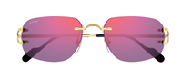 Lunettes de soleil Cartier Piccadilly CT0663S