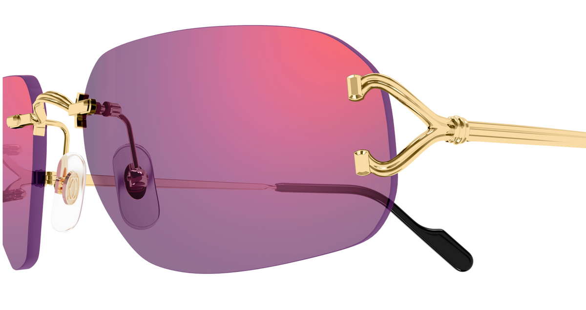 Lunettes de soleil Cartier Piccadilly CT0663S