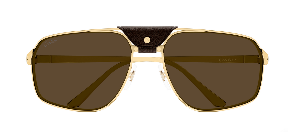 Lunettes de soleil Cartier Santos CT0651S