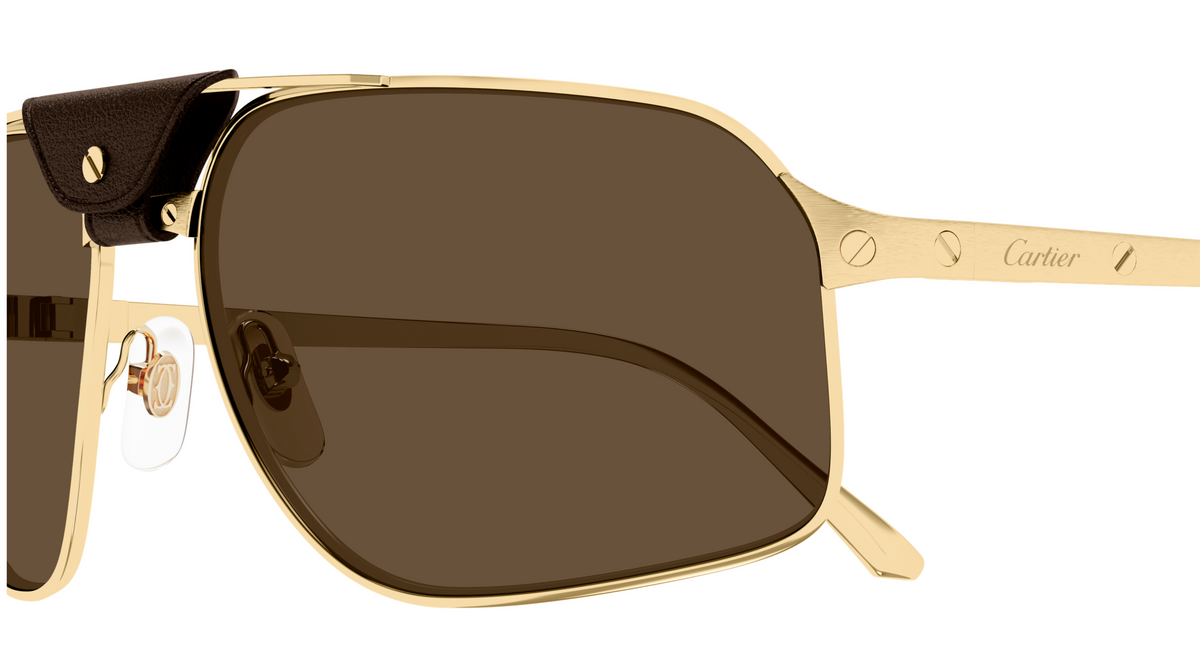 Lunettes de soleil Cartier Santos CT0651S