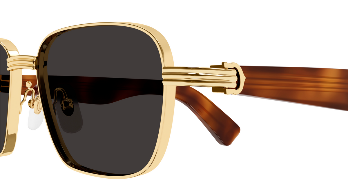 Lunettes de Soleil Cartier Première CT0538S