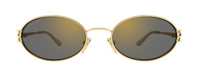 Lunettes de soleil Gucci Emblem GG2233S