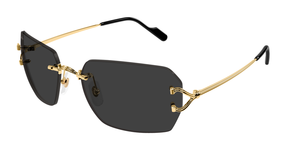 Lunettes de soleil Cartier Piccadilly CT0664S