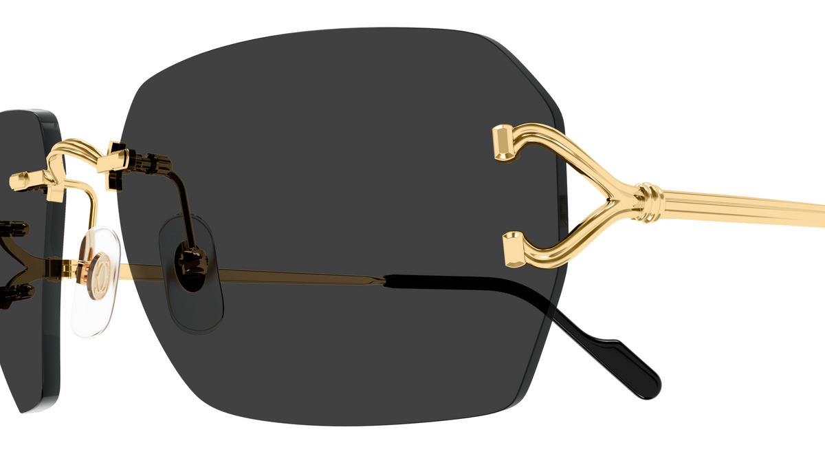 Lunettes de soleil Cartier Piccadilly CT0664S