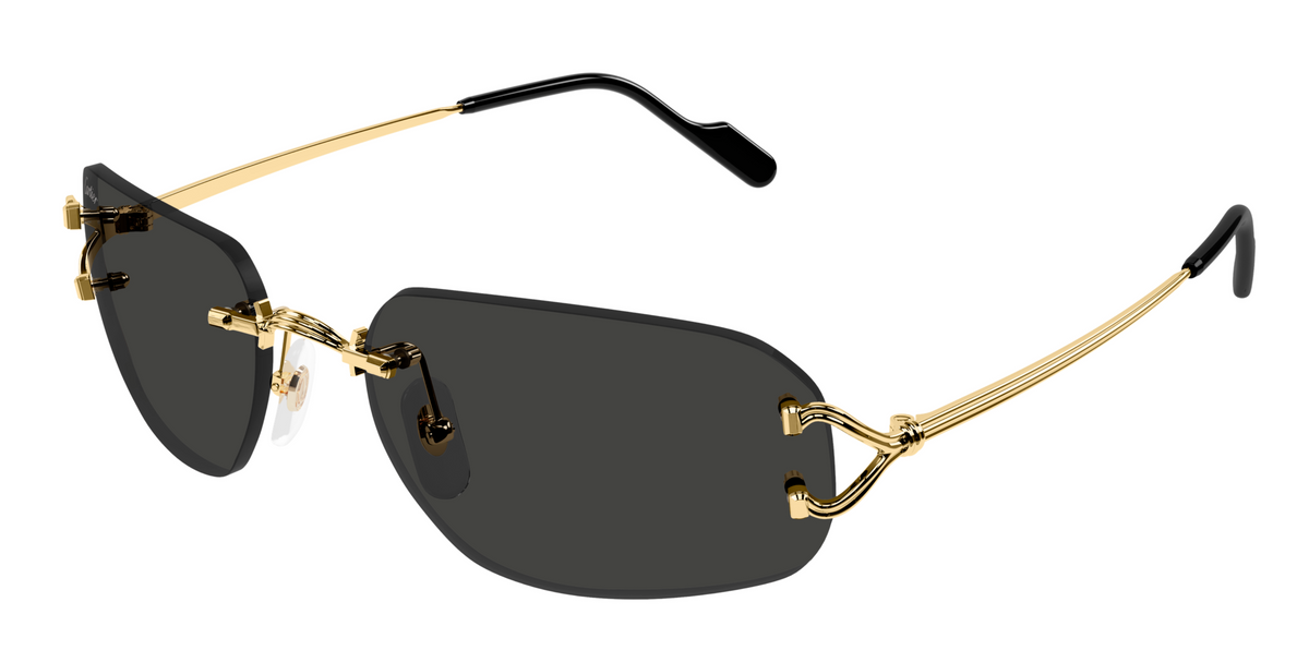 Lunettes de soleil Cartier Piccadilly CT0663S