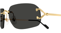 Lunettes de soleil Cartier Piccadilly CT0663S