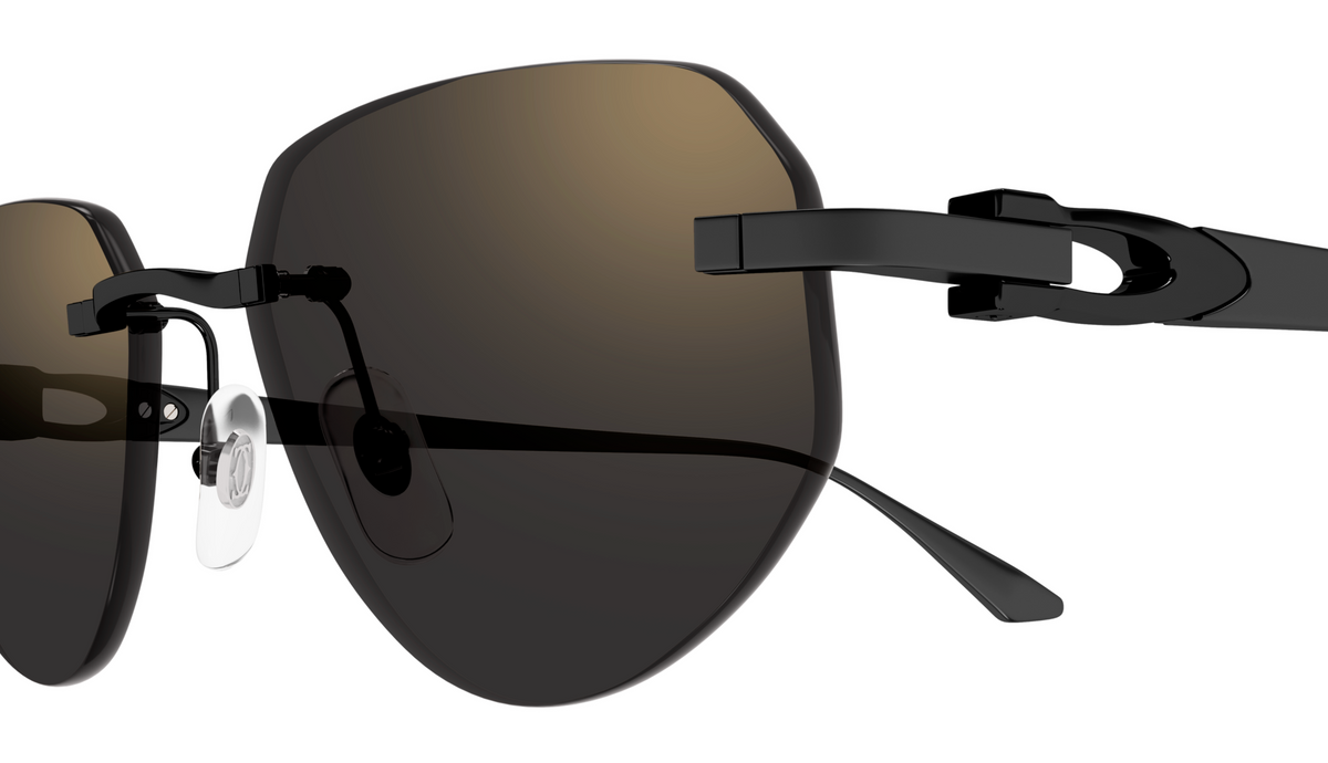 Lunettes de soleil Cartier Décor C CT0661S