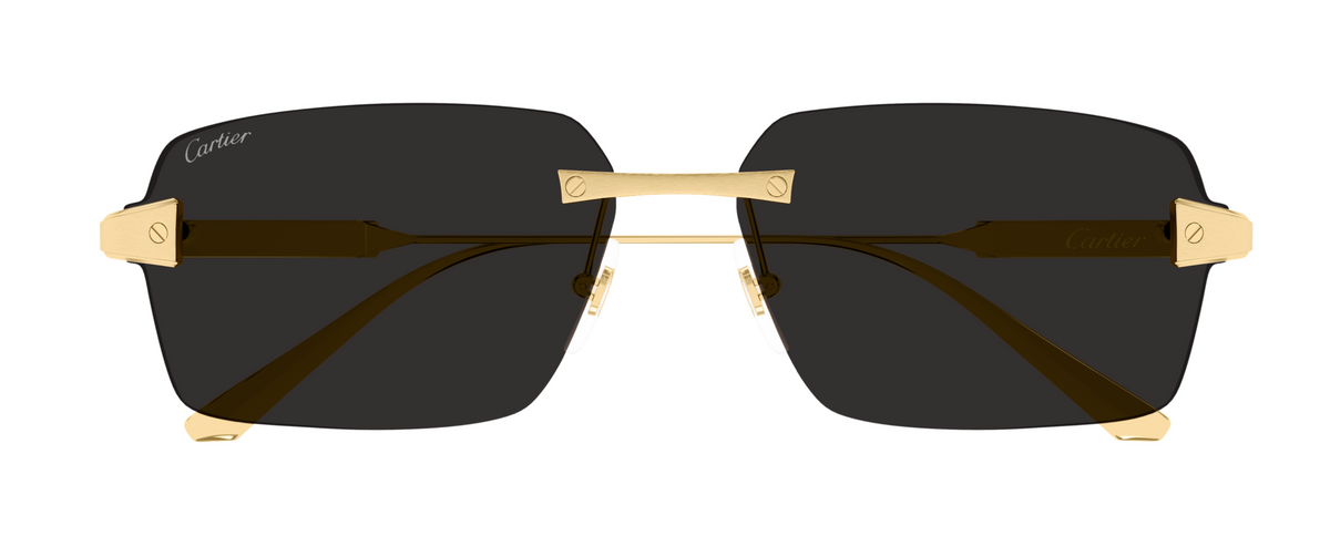 Lunettes de soleil Cartier Santos CT0652S